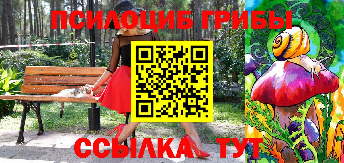 Галлюциногенные грибы Magic Shrooms  Вход с VPN  купить наркотики цена  Псилоцибиновые грибы прущие грибы  Саров 